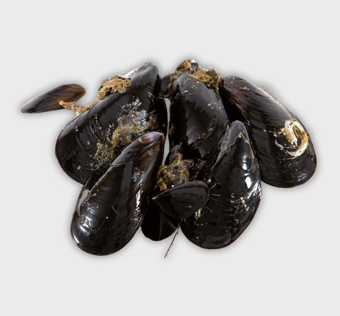 Musclos del Delta