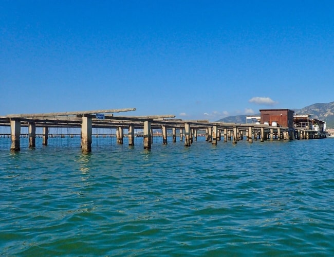 Badia dels alfacs-min